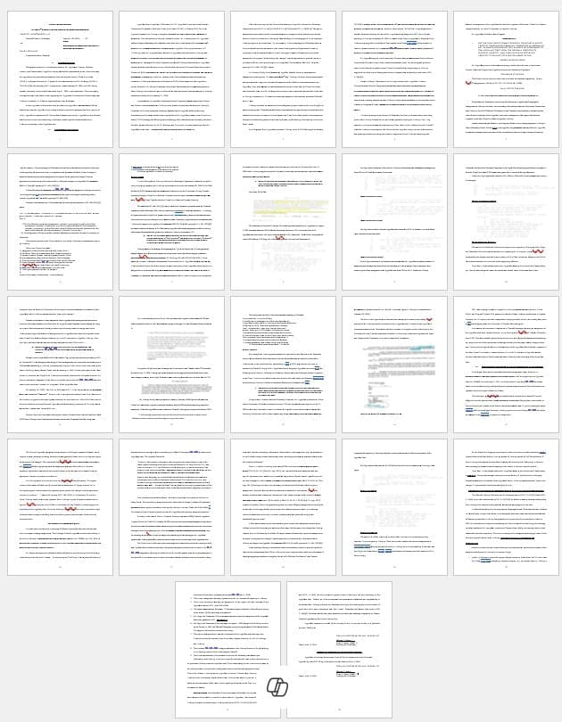 Appellate Brief Draft AND MOTION RESPONSE REALLY
